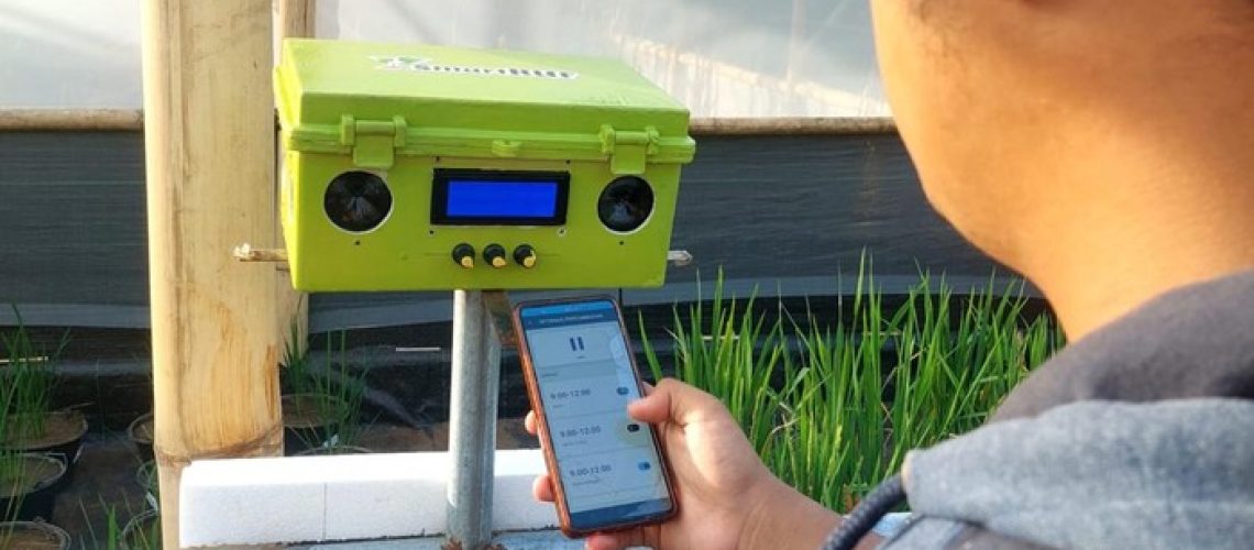 smartruf-d-atau-smart-rice-urban-farming-device-2_169